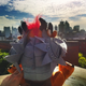 Illustration for article titled A Very Huggable Charr Contemplates Manhattan